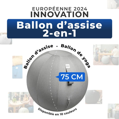 Ballon assis ergonomique bureau