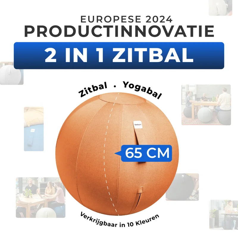 Ballon assis ergonomique bureau